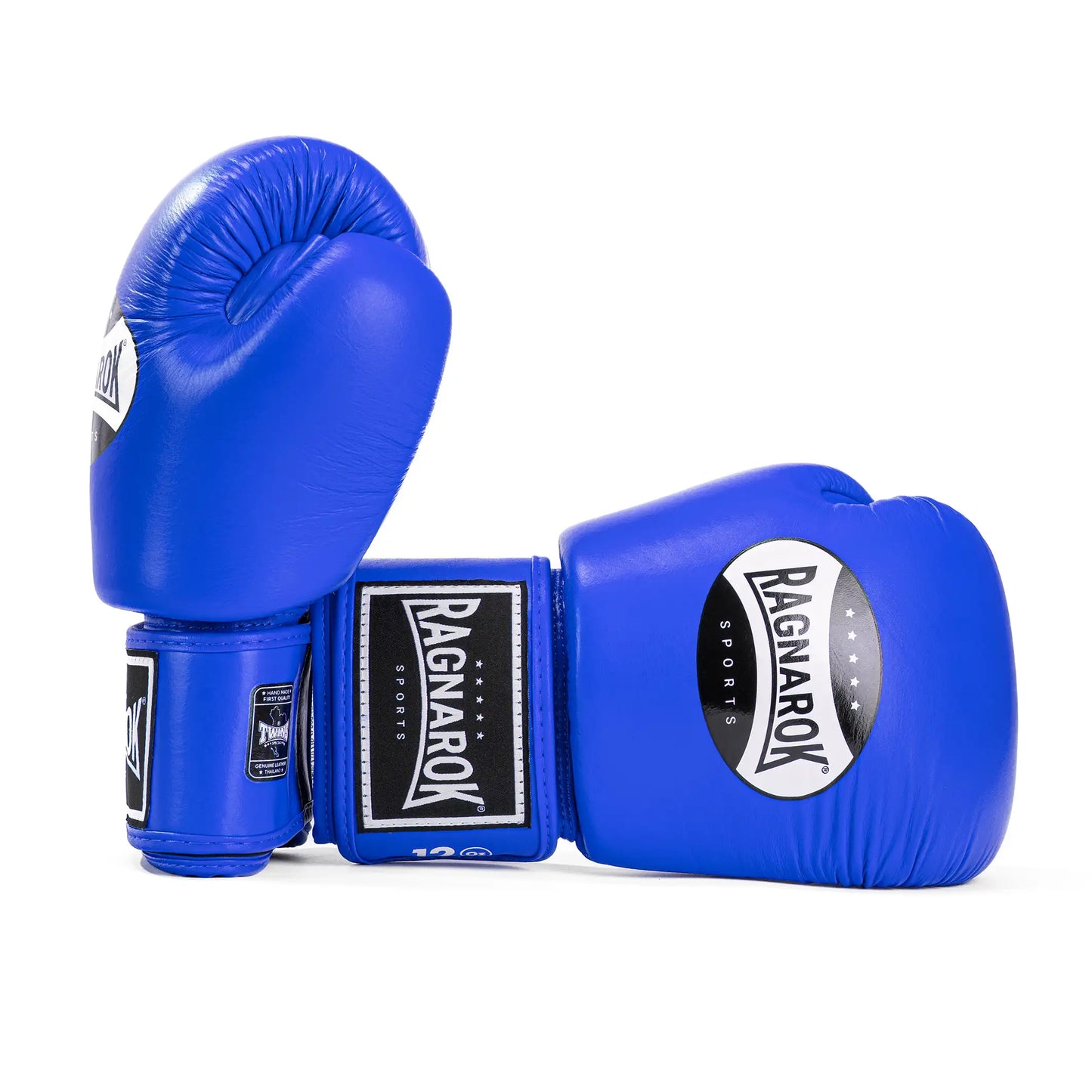 Ragnarok Sports Boxing Gloves made by TWINS Blue