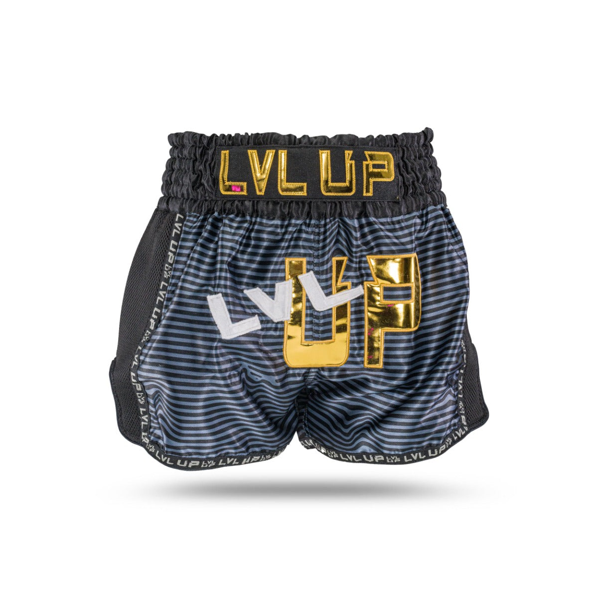 Kampfsporthose LVL UP FLASH 2