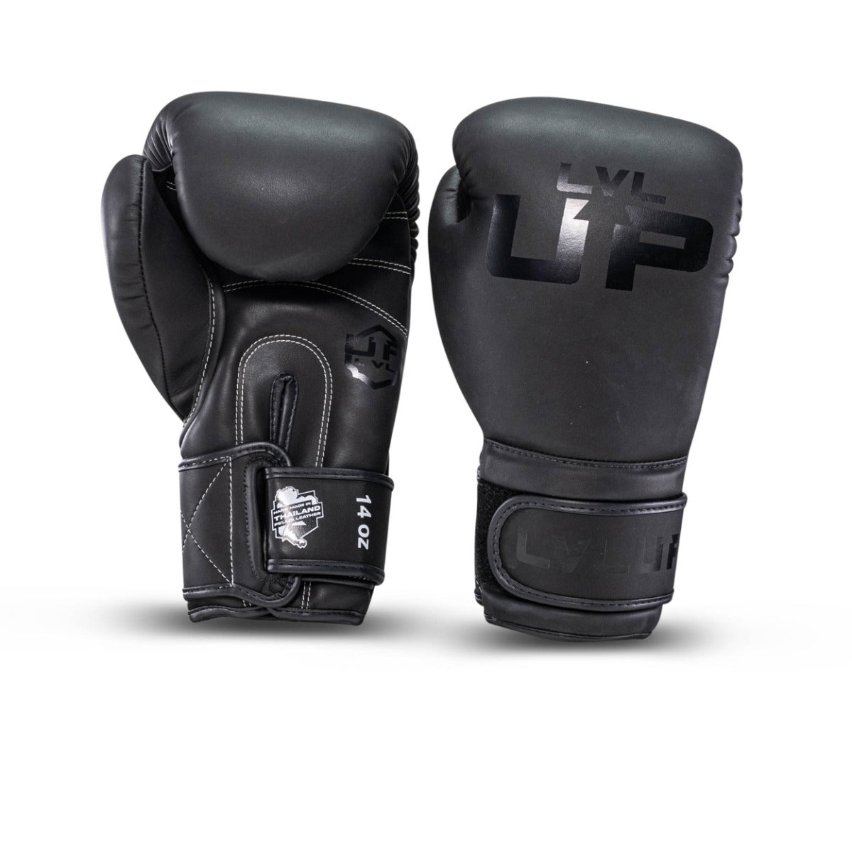 Boxhandschuhe LVL-UP BG 2