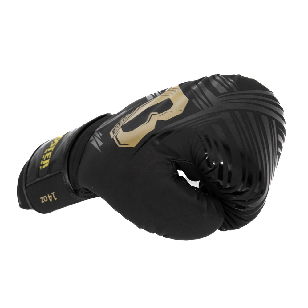 Boxhandschuhe für Anfänger Gold Schwarz BFG ALPHA BK/GD