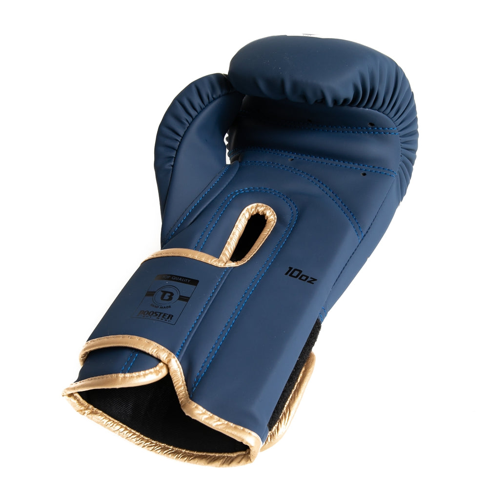 Boxhandschuhe für Kinder Blau BG Youth Elite V2 4