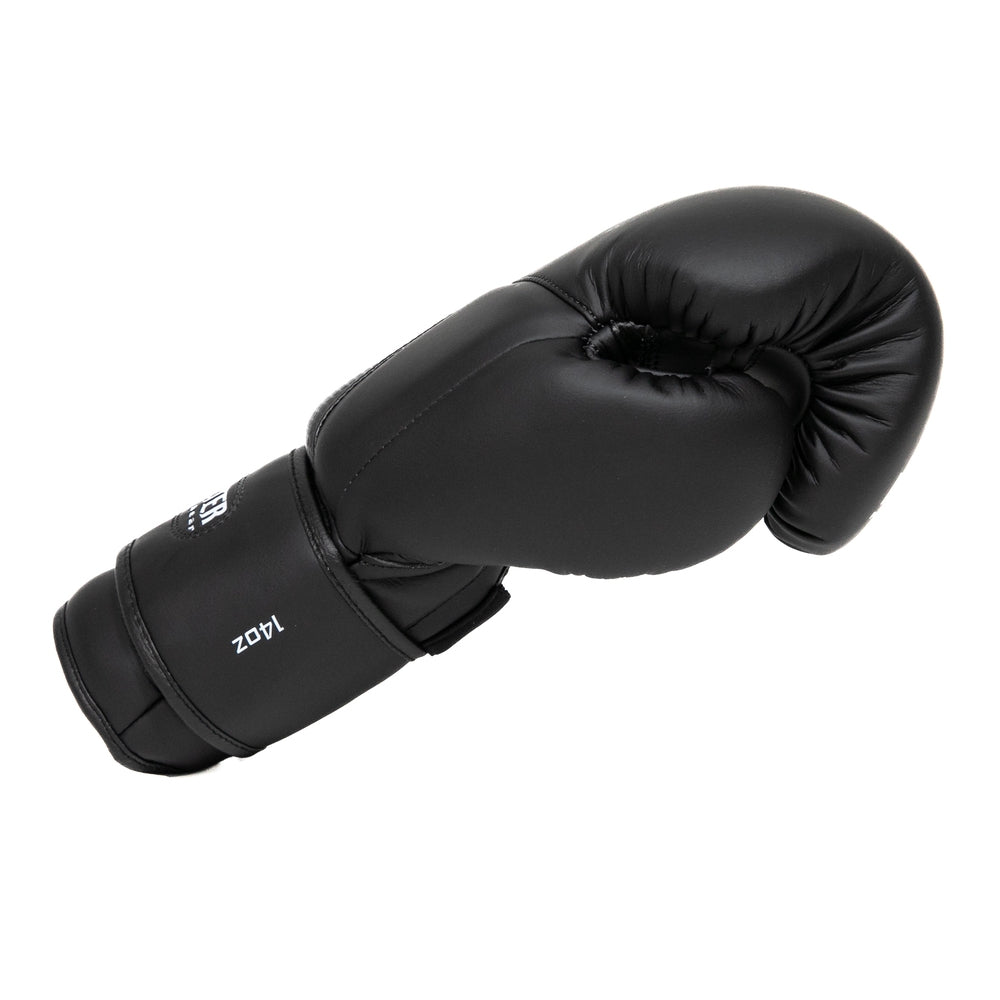Boxhandschuhe Schwarz/Silber BG XXX