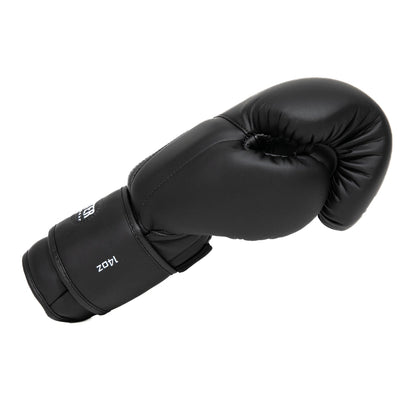 Boxhandschuhe Schwarz/Silber BG XXX