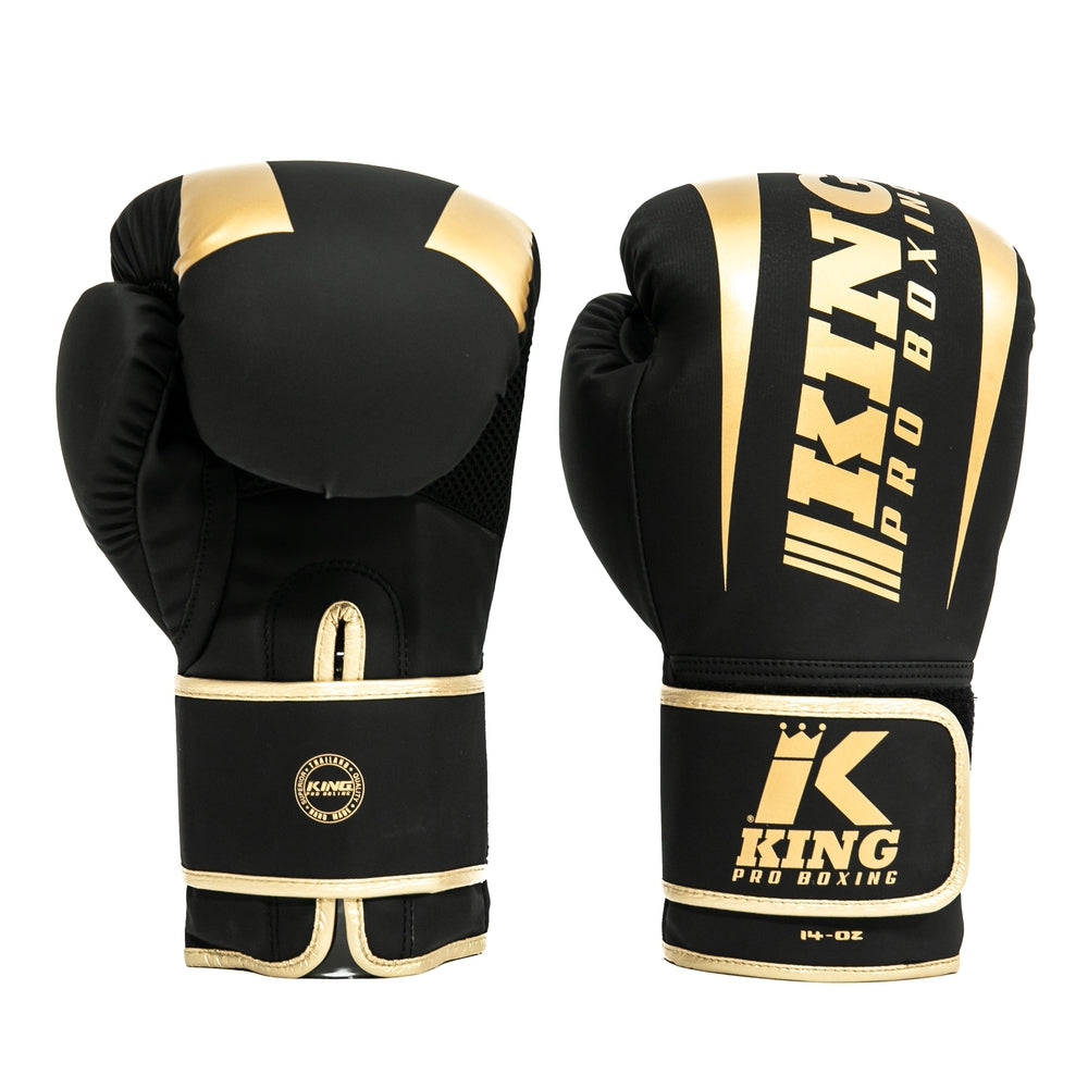 Boxing gloves KPB/BG REVO-6